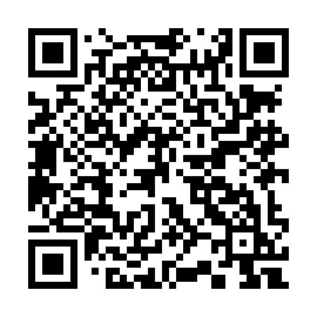 QR code for C29LIK