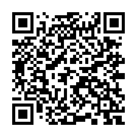 QR code for C29TLE