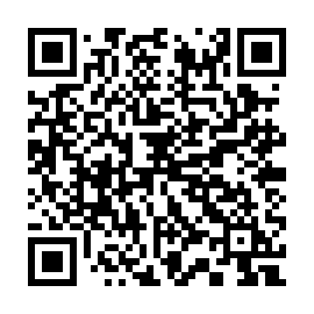 QR code for C30PAI