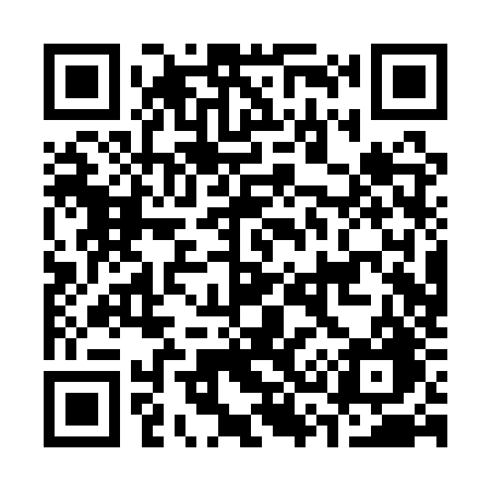 QR code for C30QZG