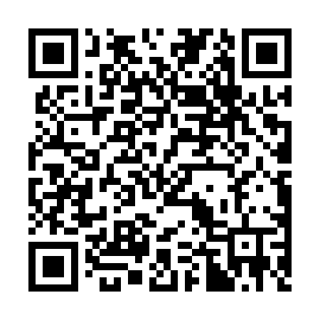 QR code for C46APV