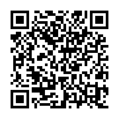 QR code for C53INI