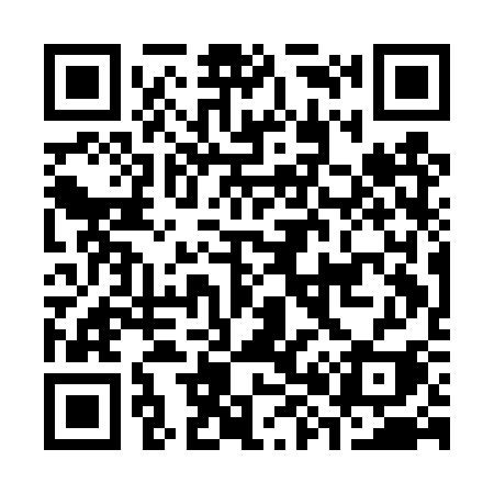 QR code for C81DSI