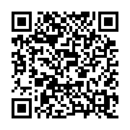 QR code for C91SDM