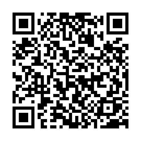QR code for C95MGP