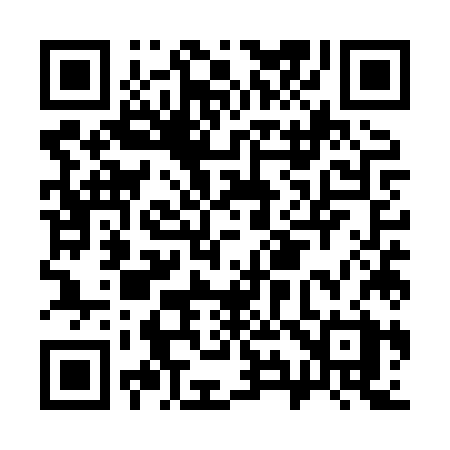 QR code for C95XZX