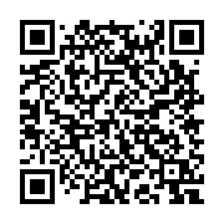QR code for CAE11Q