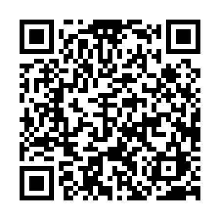 QR code for CGP13C