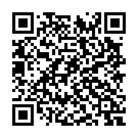 QR code for CHI06F