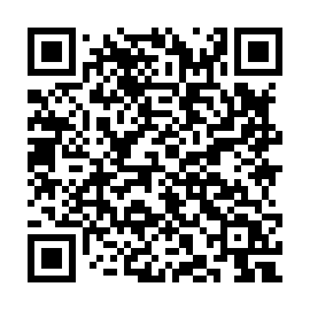 QR code for CHI86T