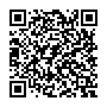 QR code for CHJ95P