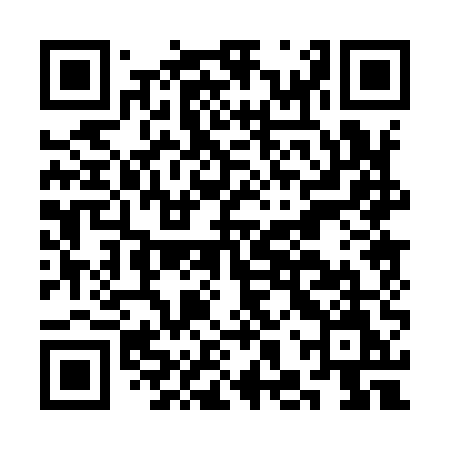 QR code for CHP95M