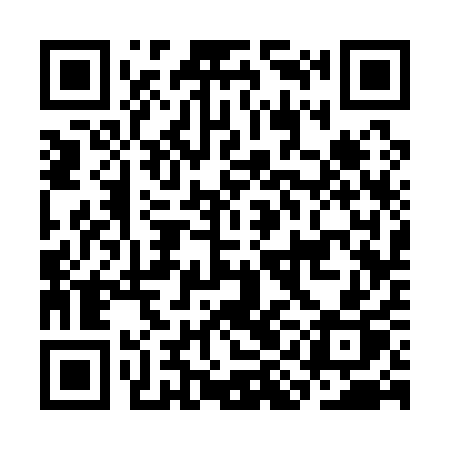 QR code for CIC11P