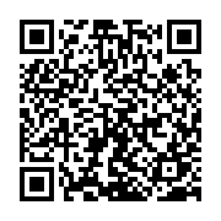 QR code for CLU39T