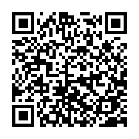 QR code for CZT99E