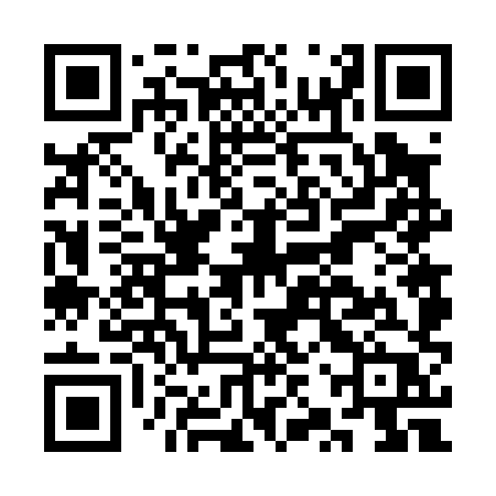 QR code for CZV08P
