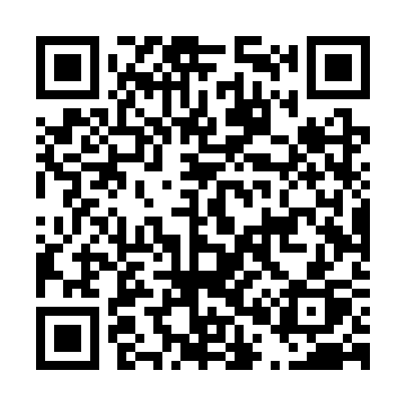 QR code for D04SSP