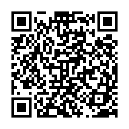 QR code for D11UDI