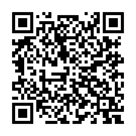 QR code for D13HIQ