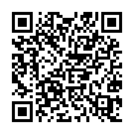 QR code for D17IIC