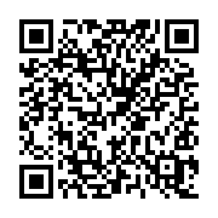QR code for D21XIG