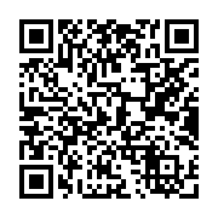 QR code for D31XIR