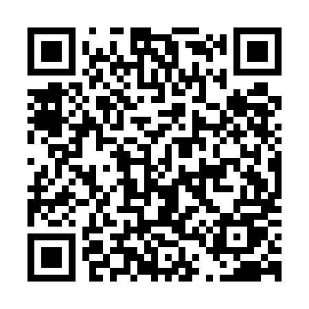 QR code for D41EMU