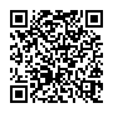 QR code for D55BIR