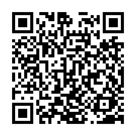 QR code for D91NZK