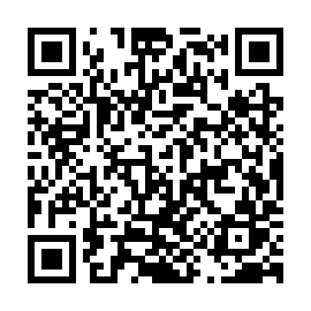 QR code for D95SYR