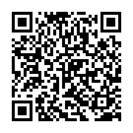 QR code for DBL31S
