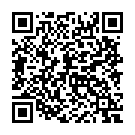 QR code for DFH53I