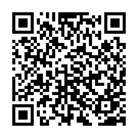 QR code for DFI30T