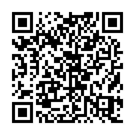 QR code for DFQ96S
