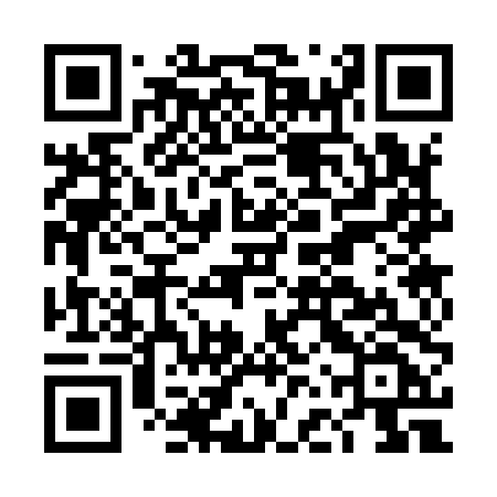 QR code for DFS94F