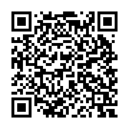 QR code for DFW28S
