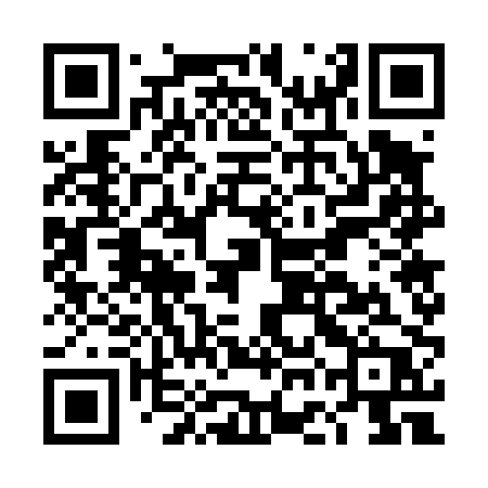 QR code for DGG40P
