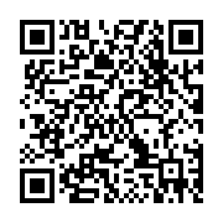 QR code for DGM11F