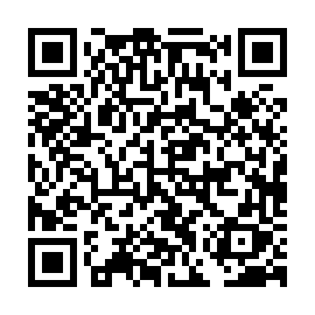 QR code for DGP86X