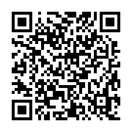 QR code for DIC28N