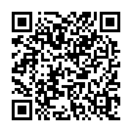 QR code for DID31L