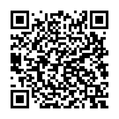 QR code for DIF13Q