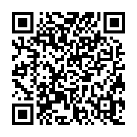 QR code for DIG87L