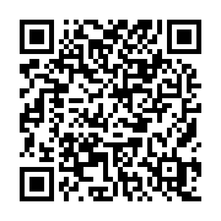 QR code for DII96D