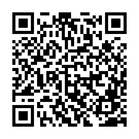 QR code for DIQ96V