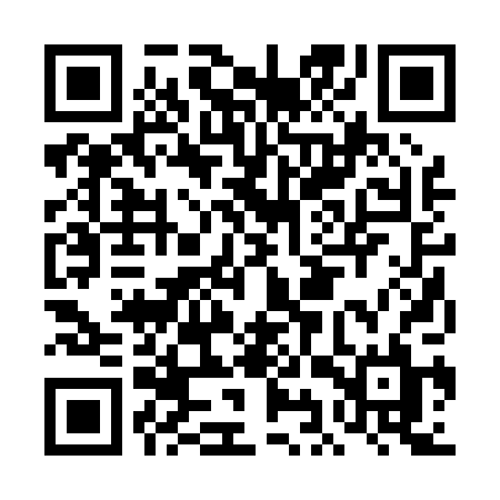 QR code for DIR00L