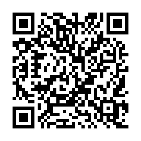 QR code for DIY95G