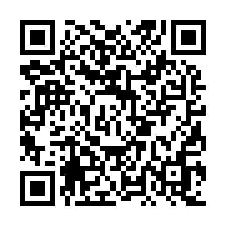 QR code for DLC91N