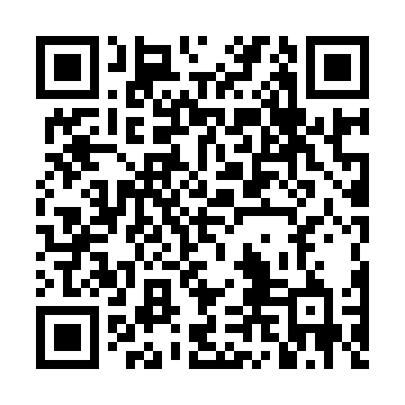 QR code for DLL96B