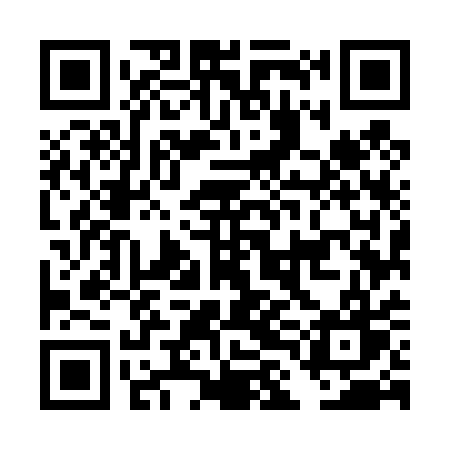 QR code for DLM41W